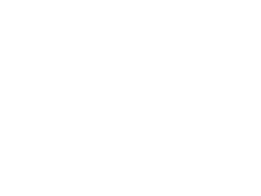 Super Bravo Paints